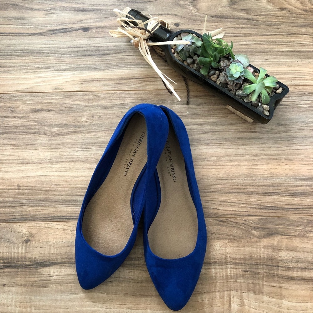 Blue Pointed Flats
